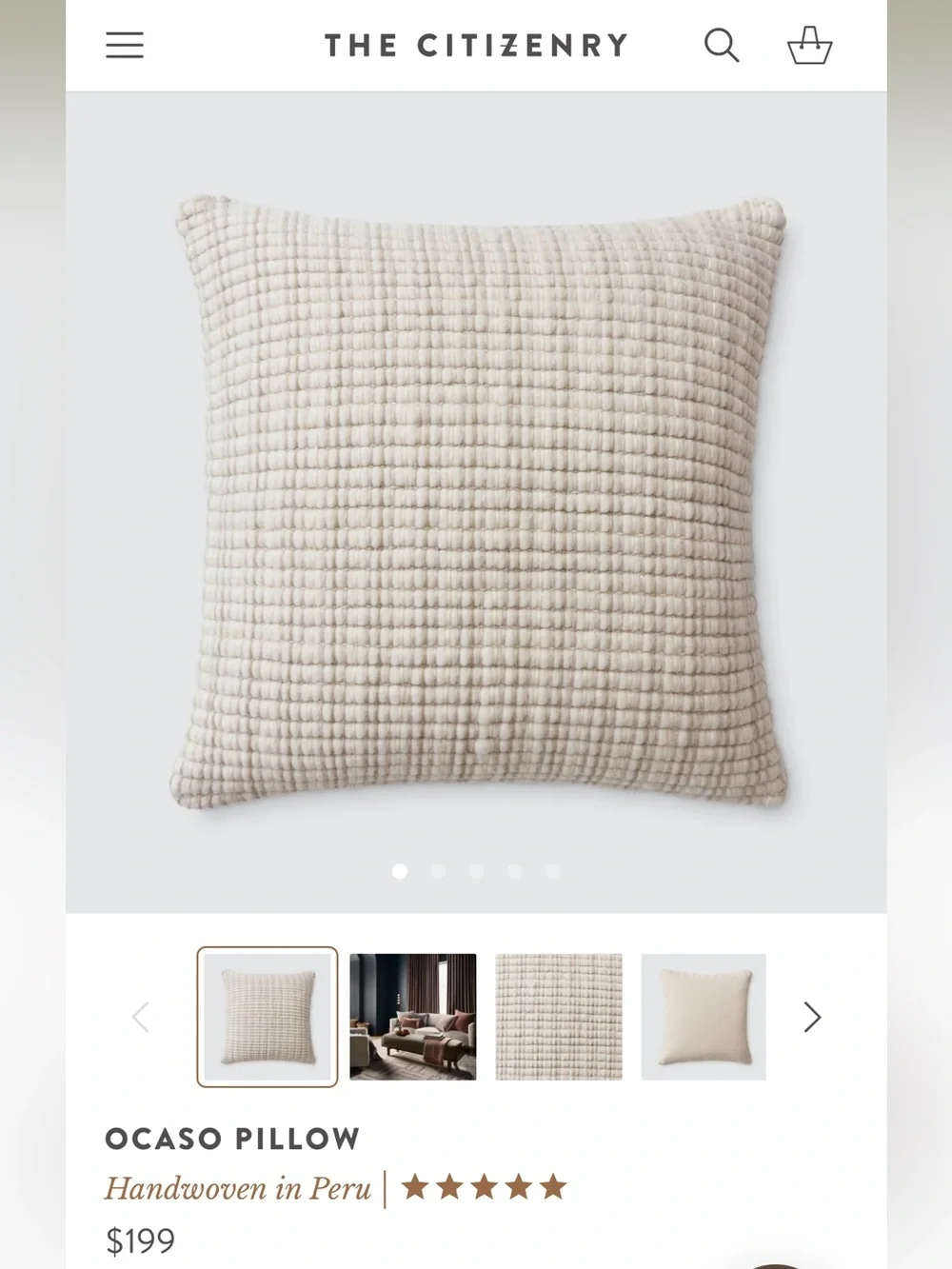 The Citizenry Ocaso Pillow (20in x 20in)